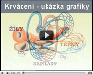 Krvácení - ukázka grafiky